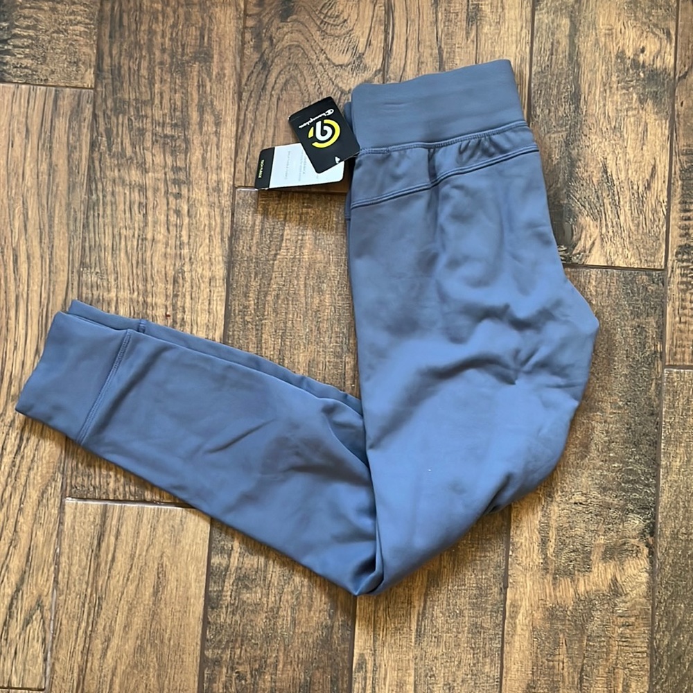 Champion fleece joggers